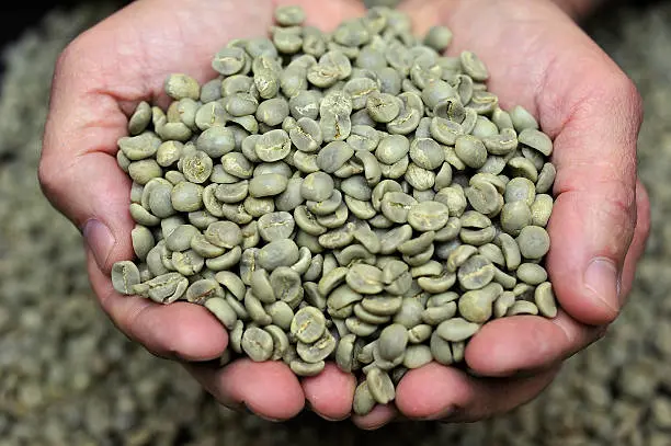 Coffee-beans- Aromates spices