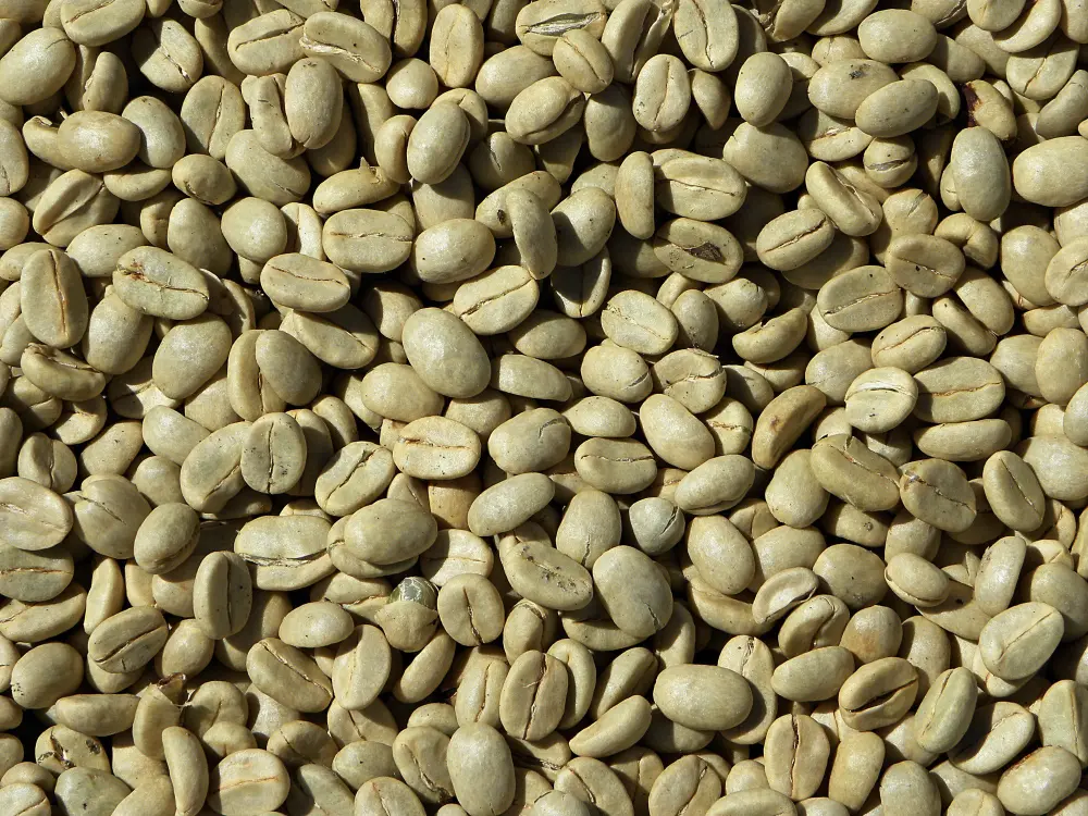Coffee-beans- Aromates spices